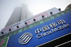 （6分钟教程）绥化市热线电话_哔哩哔哩-3